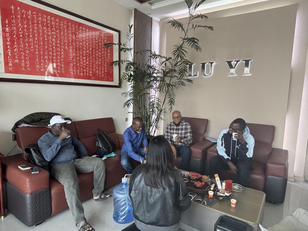 Hoe Luyi Auto een Nigeriaanse bouwklant hielp het transport van zwaar materieel te verbeteren met 12 op maat gemaakte diepladers van 40 ton