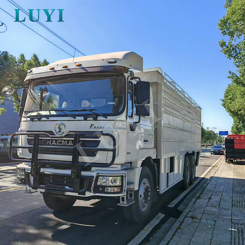 Shaanxi Automobile Delong F3000 trekkervrachtwagen